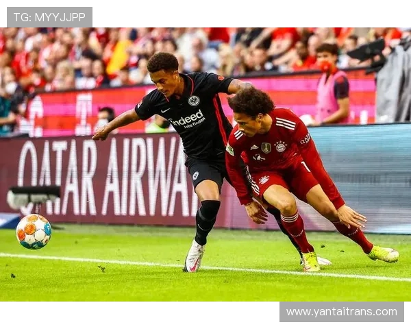 德甲球队高清模板图片及视觉设计展示