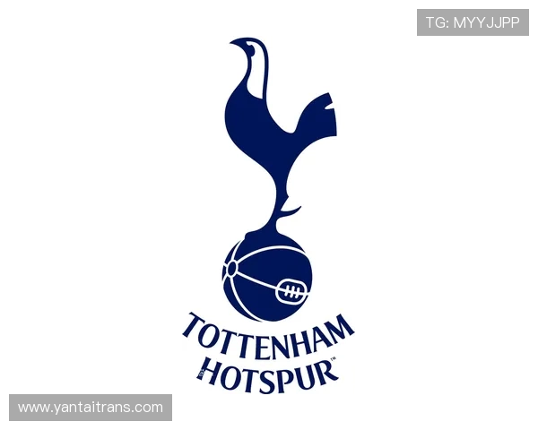 英超球队转会动态:最新转会信息与交易分析 英超球队转会动态:最新转会信息与交易分析